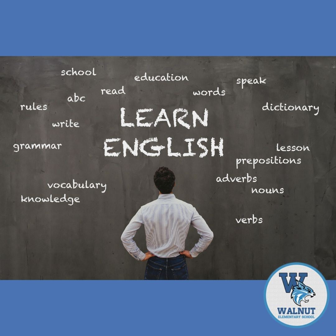  Clases de Ingles y Tecnolgia/ English and Technology classes